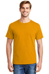 Hanes ComfortSoft 100% Cotton T-Shirt