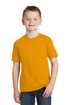 Hanes Youth EcoSmart 50/50 Cotton/Poly T-Shirt