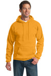 Port & Company Essential Fleece Pullover Hooded Sweatshirt