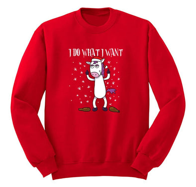 Free Shipping I Do What I Want Unicorn Christmas Sweater Gift Party Santa Funny Holiday Winter Snowman Snow Men Women Crewneck Sweatshirt