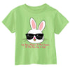 Free Shipping Youth Toddler T-Shirt Bunny Rabbit Cool Shirt Easter Egg Peep Spring Hippy Hop Hip Sunglasses Kids Crewneck T-Shirt