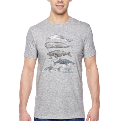 XtraFly Apparel Men&#39;s Tee Creatures of North Atlantic Humpback Whale Blue Orca Sperm Fin Beluga Nantucket Diving Boating Crewneck T-shirt