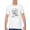 XtraFly Apparel Men&#39;s Tee Creatures of North Atlantic Humpback Whale Blue Orca Sperm Fin Beluga Nantucket Diving Boating Crewneck T-shirt